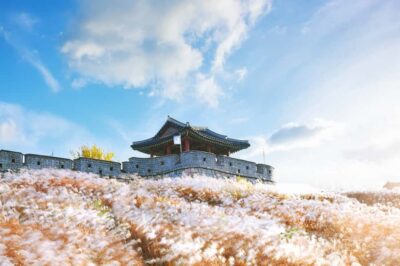 Seoul : Suwon Hwaseong Fortress+Starfield Library+Waujeongsa - How the day is paced: transport, timing, and your walking budget
