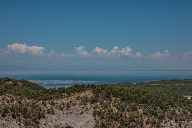 Shkodra from Tirana: Day Tour of castle, city & Skadar Lake - Strolling Shkodra’s bazaar: where the day turns local