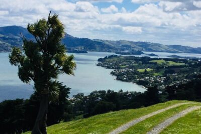 Shore Excursion: Dunedin City, Otago Peninsula, Castle Gardens & Olveston Tour - Botanic Garden and the University area: Dunedin’s green and academic side