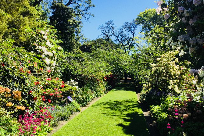Shore Excursion: Dunedin City, Otago Peninsula, Castle Gardens & Olveston Tour - Larnach Castle Gardens: the viewpoint experience you don’t want to rush