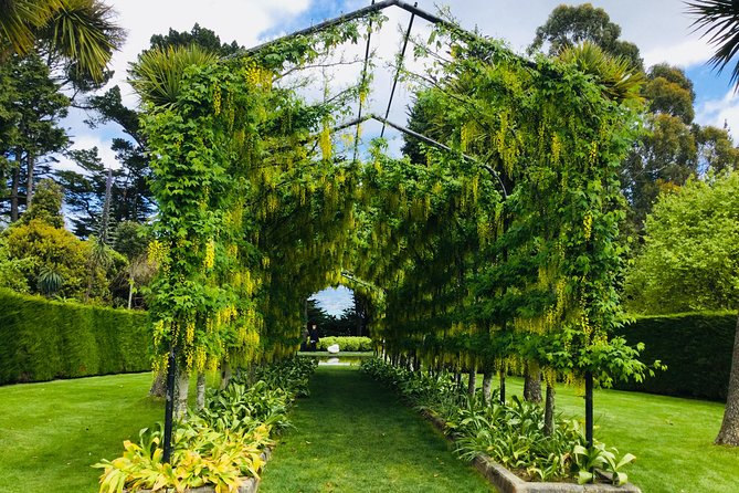 Shore Excursion: Dunedin City, Otago Peninsula, Castle Gardens & Olveston Tour - How the pacing really feels in a 6-hour day