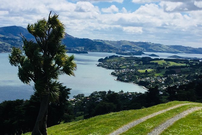 Shore Excursion: Dunedin City, Otago Peninsula, Castle Gardens & Olveston Tour - Botanic Garden and the University area: Dunedin’s green and academic side