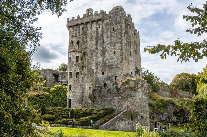 Shore Excursion from Cobh (Cork) to Blarney Castle and Kinsale - Price and Value: Is $83.64 Worth It?