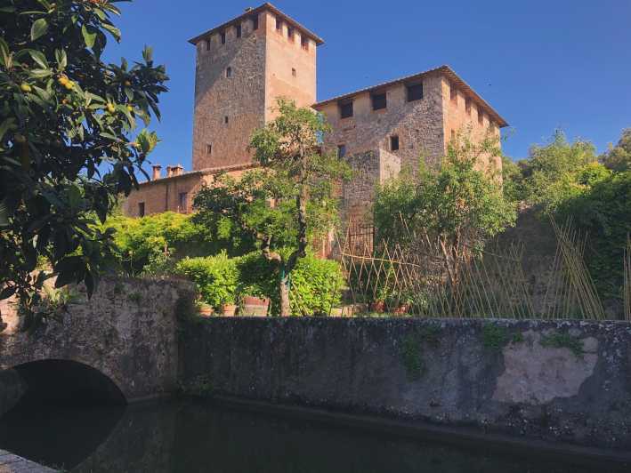 Siena: Tour and Wine Tasting in a Tuscan Private Castle - Winery visit: organic production and the Sangiovese story