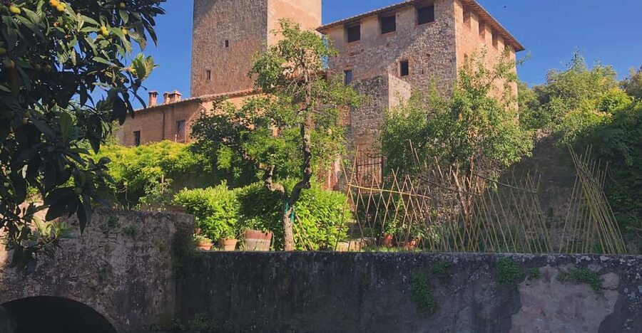 Siena: Tour and Wine Tasting in a Tuscan Private Castle - The tasting experience: relaxed pace, snacks, and real explanations
