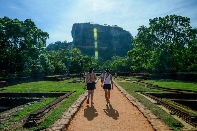Sigiriya Rock and Dambulla Cave All Inclusive Private Day Trip - Price and Logistics: What the $55 Actually Buys You