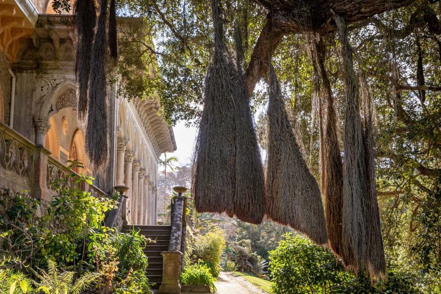 Sintra: Monserrate Palace & Park Ticket - Why Monserrate Palace feels different in Sintra