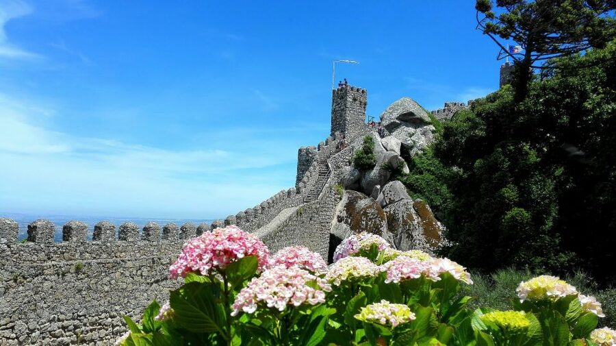Sintra: Truly Private Tour to Pena Palace & Regaleira - Who should book this Sintra private tour (and who should reconsider)