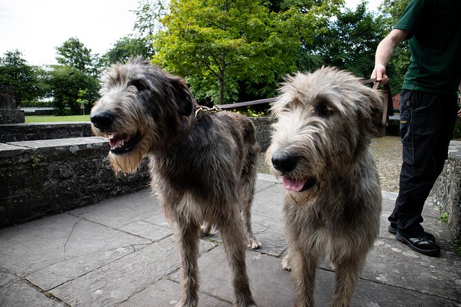 Skip the Line: Bunratty Castle and Folk Park Admission Ticket - How Much Time Do You Need? (And What 2 to 3 Hours Feels Like)