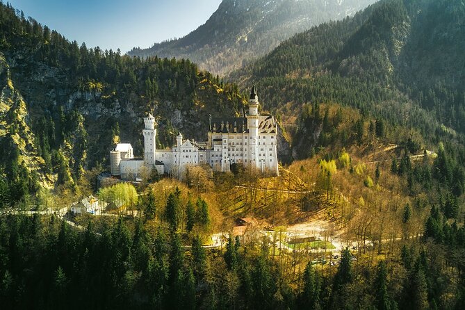 Skip The Line Neuschwanstein Castle Tour from Hohenschwangau - The horse carriage ride down: the classic payoff