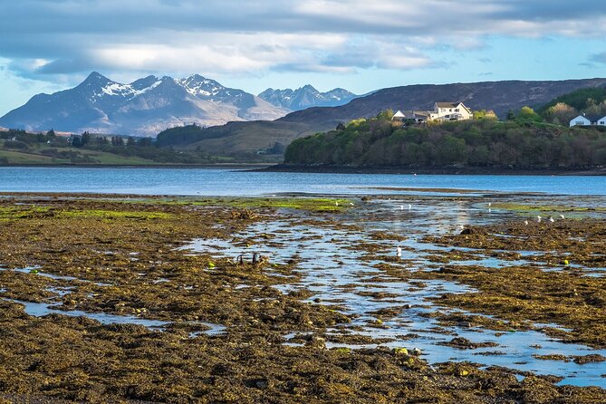 Skye Day Tour from Inverness with Fairy Pools & Dunvegan Castle - From Inverness to Skye: the value of a driver-guide day