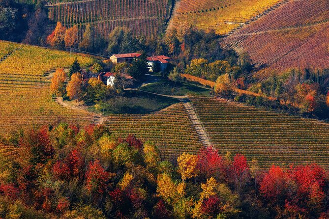 Small-Group Barolo Wine Tasting, Alba & UNESCO Piedmont Hills - Grinzane Cavour Castle: UNESCO views, an old wine shop, and Camillo Benso’s Barolo role