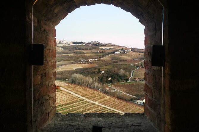 Small-Group Barolo Wine Tasting, Alba & UNESCO Piedmont Hills - The family winery in Barolo: where strict DOCG rules meet real vineyard detail