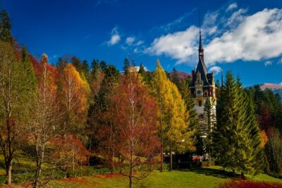 Small-Group Day Trip to Dracula's Castle, Brasov and Peles Castle - Peleș Castle planning: ticket time slots, the closure curve, and what to do instead