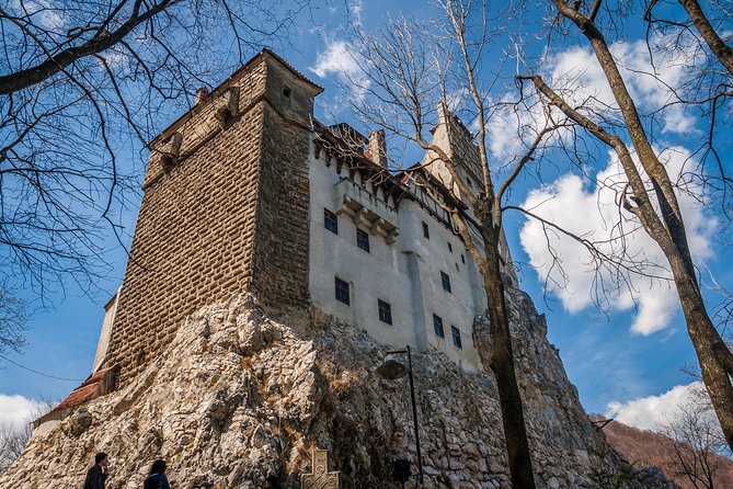 Small-Group Day Trip to Dracula's Castle, Brasov and Peles Castle - Long day logistics: buses, bathrooms, traffic, and motion-sickness prep