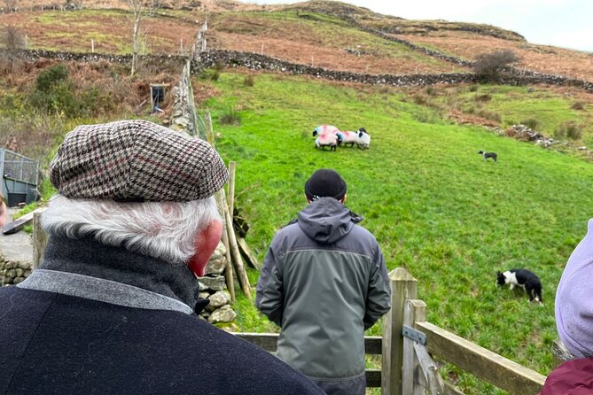 Small Group Kylemore Abbey, Sheepdog Demo & Connemara Tour - Getting there: hotel pickup, small-group flow, and timing