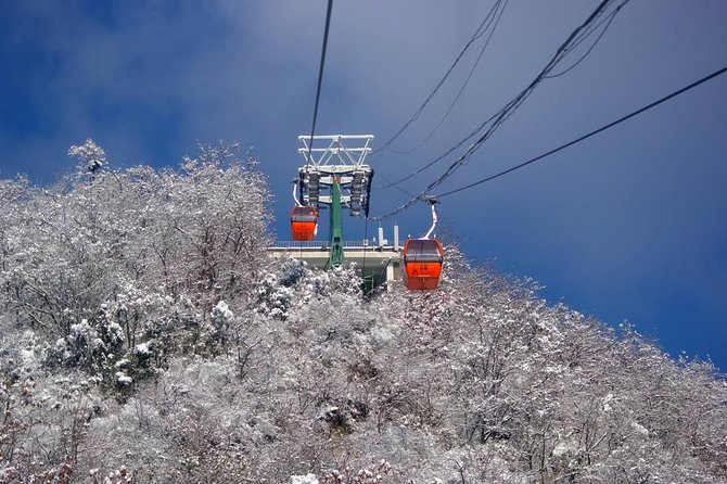 Small-Group Mutianyu Great Wall and Summer Palace Tour with Lunch - Mutianyu choices: chair lift plus toboggan or cable car round trip