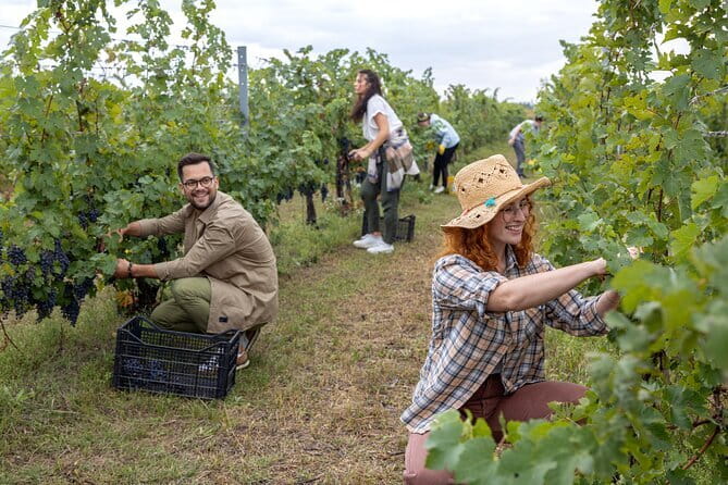 Small Group Pasta Making Class Wine Tasting in a Tuscan Castle - Price and logistics: does $157.28 feel fair?