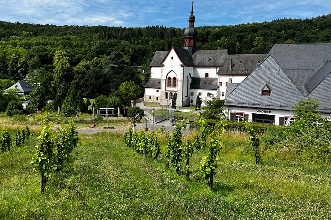 Small Group Rheingau Vineyards Tour with Castles and Abbeys - RheinWeinWelt Rüdesheim: lunch plus a wide selection of Rhine wines