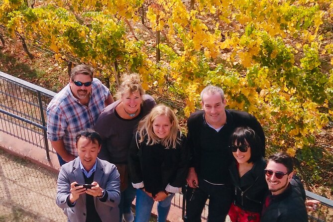 Small Group Rheingau Vineyards Tour with Castles and Abbeys - Transport and comfort: private vehicle helps on a wine day
