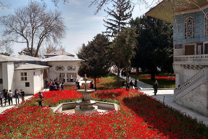 Small-Group Topkapi Palace and Harem Tour with Tickets - Harem walkthrough (1 hour): Queen Mother power and the real household