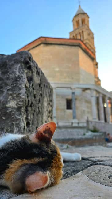 Split and Diocletian's Palace walking tour with a local guid - Diocletian’s Palace: reading 1,700 years while you walk