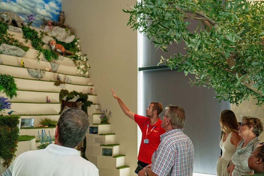 Split: Historical Tour of Salona, Klis Fortress and Trogir - Stella Croatica and the Dalmatian tasting: olive oil, figs, and gardens