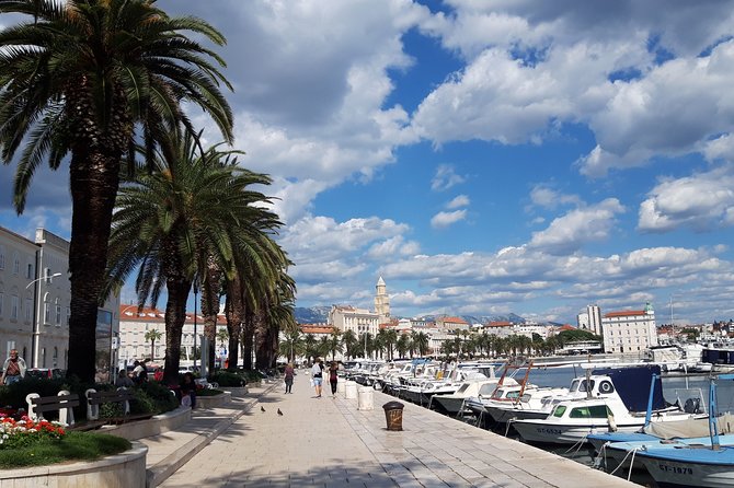 SPLIT-PRIVATE Walking Tour of Diocletian's Palace & Old Town - Key takeaways before you go