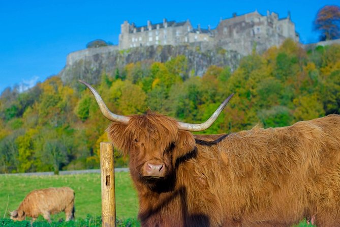 Stirling Castle,Trossachs National and Loch Lomond Day Tour from Edinburgh - Balmaha on Loch Lomond: the Ben Lomond views are the whole point