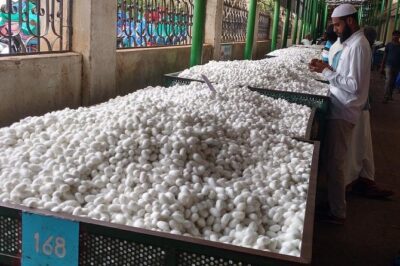 Story of Mysore Silk tour from Bangalore to experience Silk Weaving & Palace - Ramanagara’s Cocoon Auction Market: Where Silk Starts
