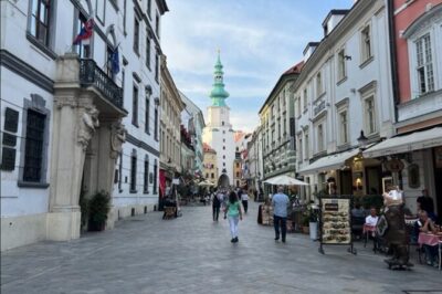 The Story of Bratislava: City and Castle Walking Tour with Locals - Most SNP: get the overview before the old town story