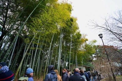 Tokyo Castle & Imperial PalaceーShogun Walking Tour - Meeting at Wadakura Fountain Park: start where your photos improve
