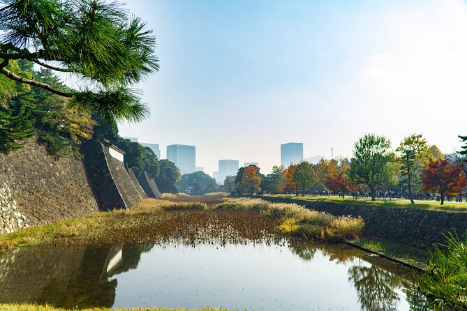 Tokyo: Edo Castle & East Garden of the Imperial Palace Tour - The Koi Fish Moment: A Small Stop That Feels Like Tokyo Magic