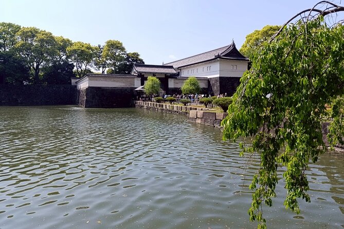 Tokyo: Imperial Palace and Shogun Historical Walking Tour - Ninomaru Garden: where the pace slows and details start to matter
