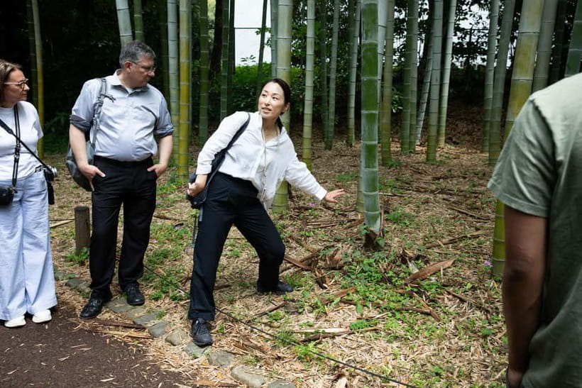 Tokyo: Imperial Palace East Gardens Walking Tour - Who this tour suits best (and who might want a different plan)