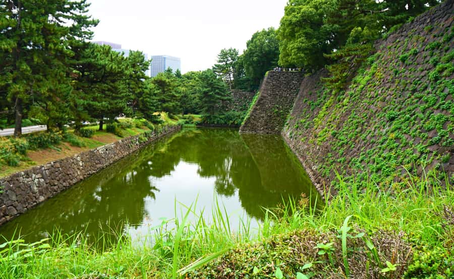 Tokyo: Imperial Palace, the history of Japan (ENGLISH GUIDE) - The main castle is gone for a reason—and you’ll see the substitute