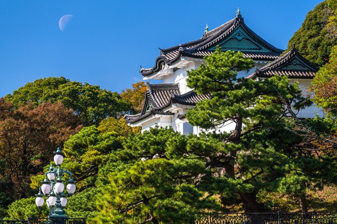 Tokyo Private Tour! Edo Castle & Imperial Palace East Gardens - Key highlights you’ll feel right away