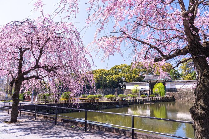 Tokyo Private Tour! Edo Castle & Imperial Palace East Gardens - Imperial Palace East Gardens: what you’re actually signing up for
