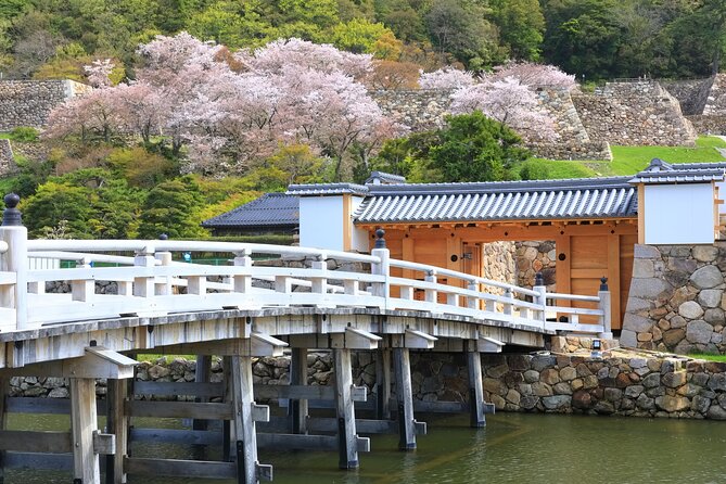Tokyo Private Tour! Edo Castle & Imperial Palace East Gardens - Why the guide matters: examples from the tour’s best sessions