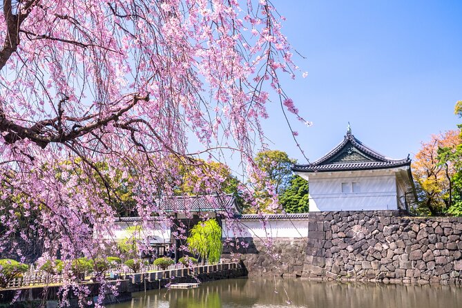 Tokyo Private Tour! Edo Castle & Imperial Palace East Gardens - Should you book this private palace walk?