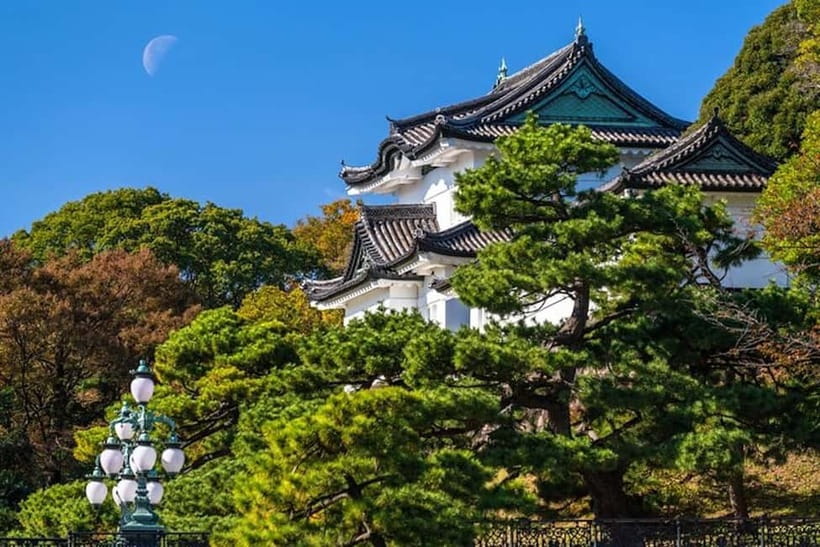 Tokyo: Pvt. Tour - Edo Castle & Imperial Palace East Gardens - Walking in the footsteps of shoguns: what you’ll see in Edo Castle ruins