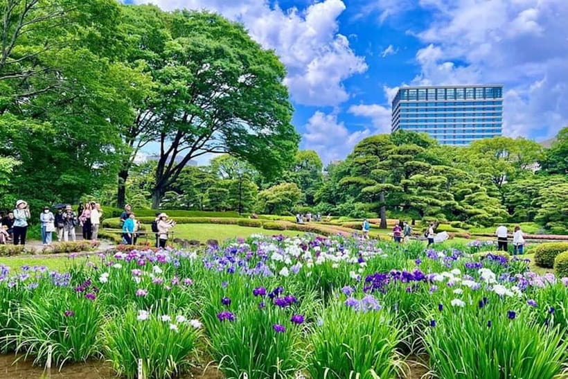 Tokyo: Pvt. Tour - Edo Castle & Imperial Palace East Gardens - Main Gate to gardens: why the guide’s explanations matter so much