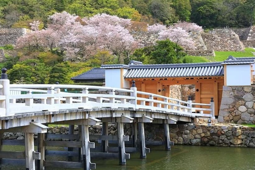 Tokyo: Pvt. Tour - Edo Castle & Imperial Palace East Gardens - Should you book it