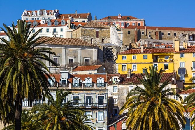 Tour del Castillo y Alfama - Key highlights worth planning around
