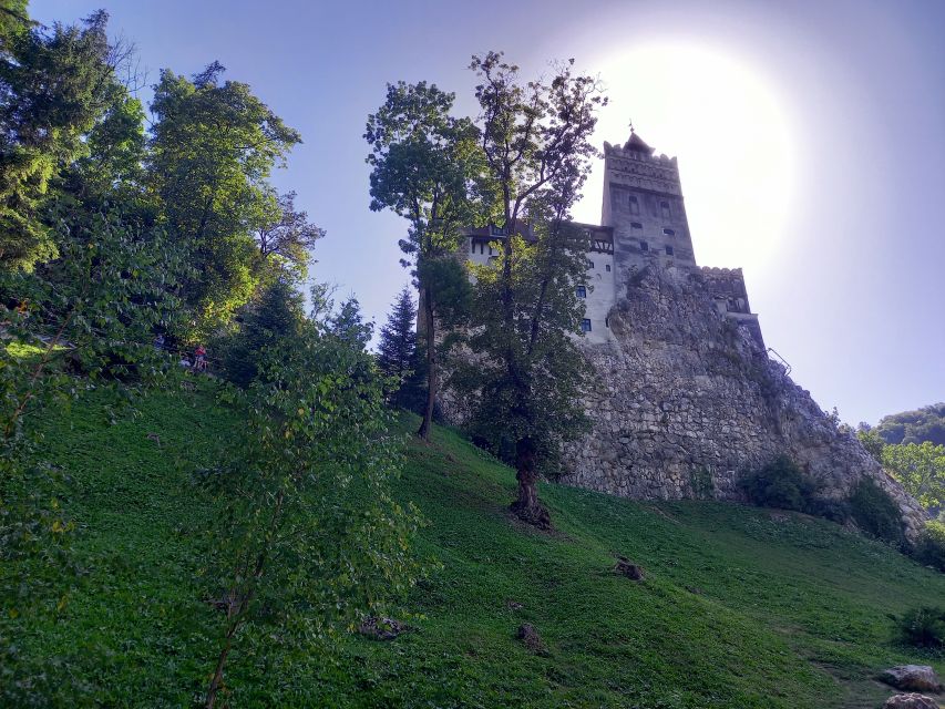 Transylvania: Dracula's Castle and Birthplace Tour - Price and value: is $175 fair for this one-day format?