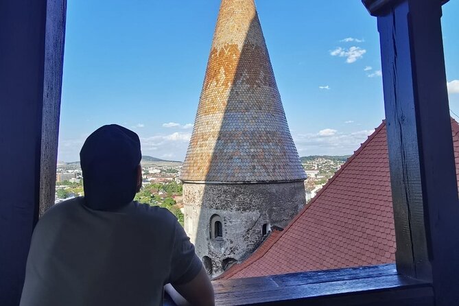 Turda Salt Mine, Corvin Castle and Alba Fortress from Cluj - Should you book this Cluj day trip?