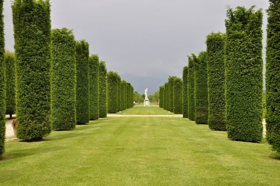 Turin: Palace of Venaria Guided Tour - Venaria Reale instead of central Turin: why this tour feels special