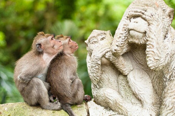 Ubud City Tour I: Monkey Forest, Ubud Palace, Art Market, and Waterfall - A Ubud Sampler That Hits Monkey Forest, Palace, Market, and Waterfall