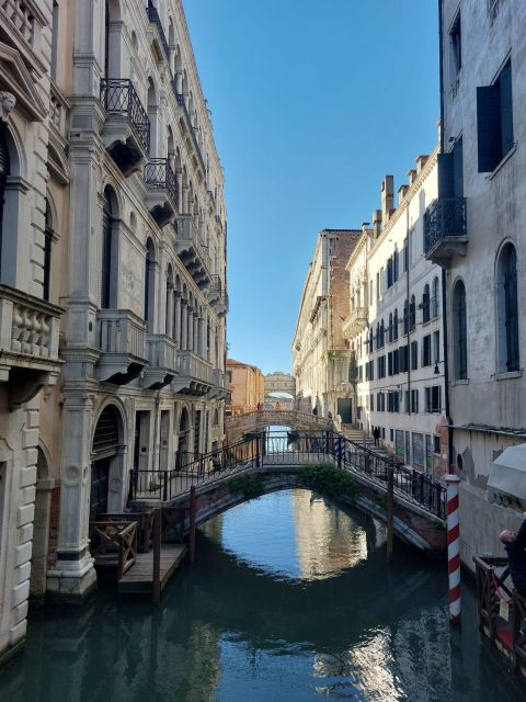 Venice: St. Mark's Basilica Tour with Doge's Palace Option - Who this tour suits best