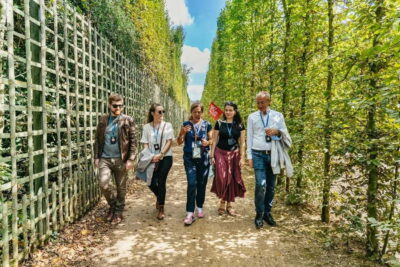 Versailles: Palace, Gardens & Queen’s Estate Guided Tour - The 90-Minute Palace Route: Hall of Mirrors and Royal Apartments in Order